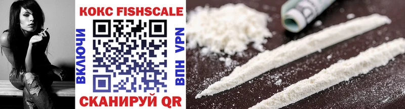Cocaine FishScale  mega маркетплейс  Жуковский 