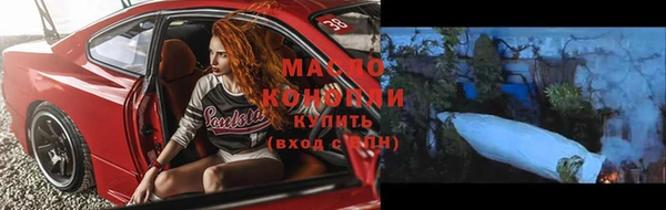 мдпв Каменногорск