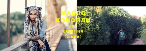 мдпв Каменногорск