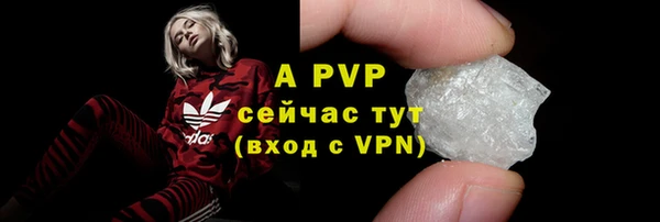 мдпв Каменногорск
