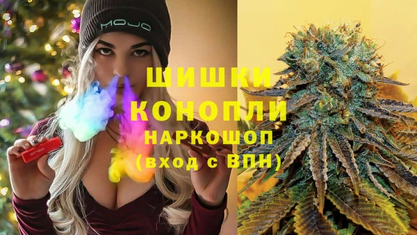 мдпв Каменногорск