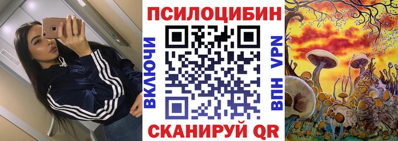 Псилоцибиновые грибы мухоморы  наркошоп  Жуковский 