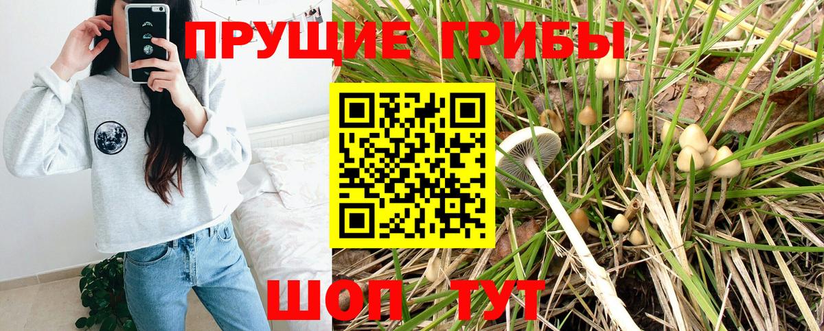 где можно купить наркотик  Галлюциногенные грибы мицелий  Галлюциногенные грибы MAGIC MUSHROOMS  Вход с VPN  Жуковский 