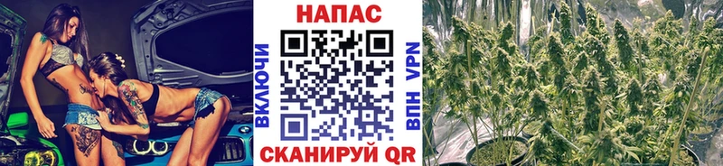 МАРИХУАНА марихуана  Жуковский 
